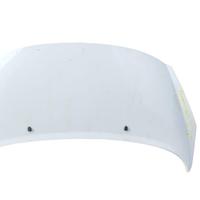 COFANO ANTERIORE PEUGEOT 207 2Â° Serie (09>)