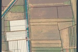 TERRENO AGRICOLO – FONDI (LT)