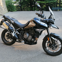 Triumph Tiger 900 GT Pro usata