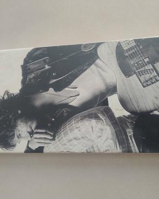 Bruce Springsteen 