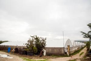Terreni agricoli casa privata