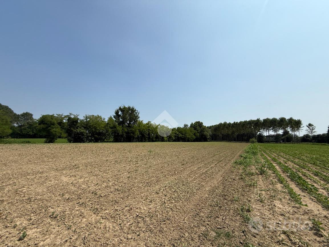 TER. AGRICOLO A SCORZÈ - Vista 4