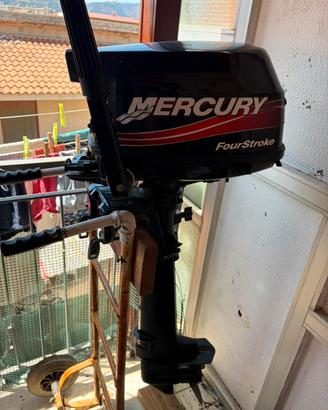 Motore fuoribordo MERCURY 6hp 4 tempi