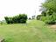 Immagine 10