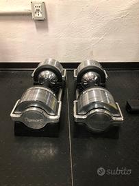 Manubri palestra regolabili