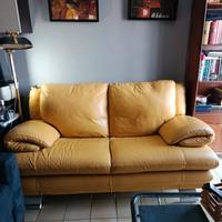 Divano in pelle 2 posti