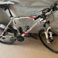 Mtb 26 Bottecchia Stelvio