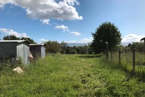 Terreno con casetta legno
