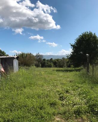 Terreno con casetta legno