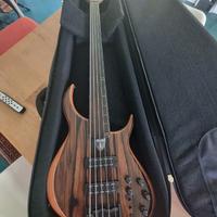 Basso Meridian Aural II 5 fretless