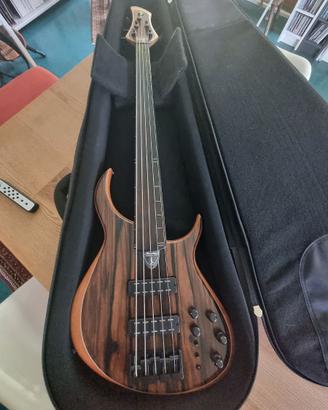 Basso Meridian Aural II 5 fretless