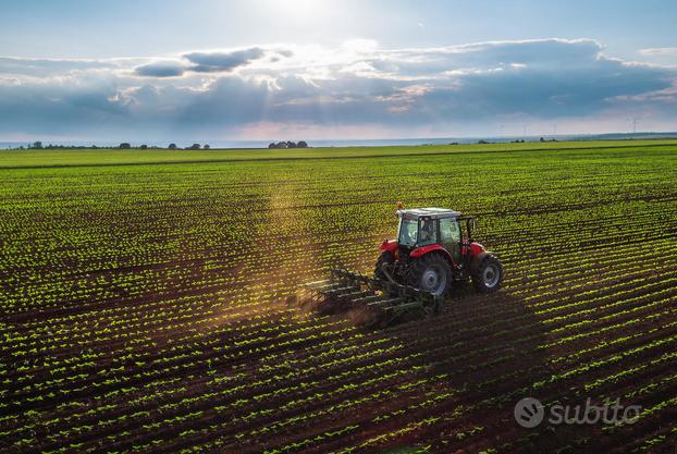 CAVARZERE: terreno agricolo