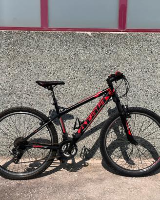 Bici 7 marcie