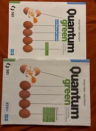 Libro di fisica Quantum green ISBN 9788805079377