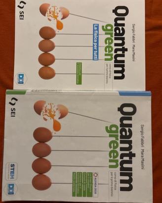 Libro di fisica Quantum green ISBN 9788805079377