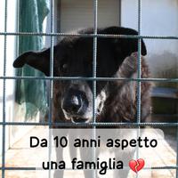 NONNO NOIR - 14 anni, una vita intera dietro le sb