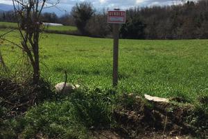Terreno agricolo