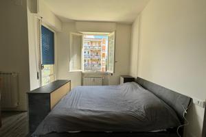 Argingrosso luminoso monolocale