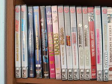 34 Dvd cartoni animati anime