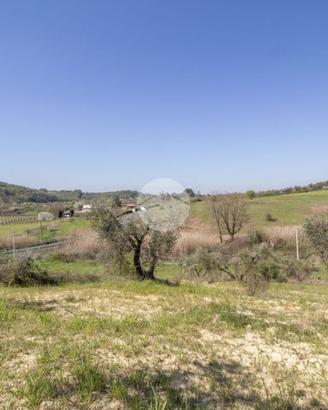 TER. AGRICOLO A PALOMBARA SABINA