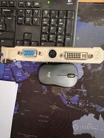 Scheda grafica retrogaming NVIDIA GeForce 8600GS