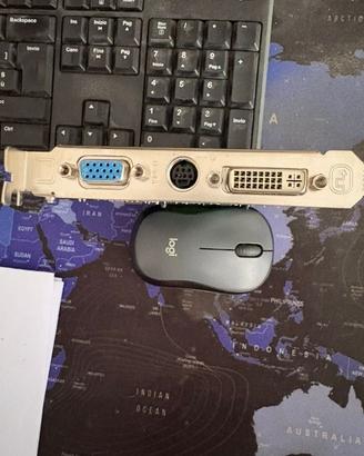 Scheda grafica retrogaming NVIDIA GeForce 8600GS