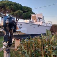 Gozzo  semidislocante   Yamaha F70 e Mercury F 9.9