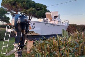 Gozzo  semidislocante   Yamaha F70 e Mercury F 9.9