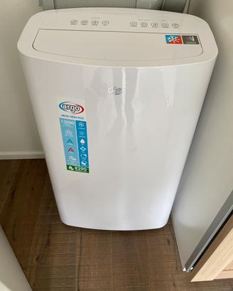 Pinguino climatizzatore deumidificatore Argo odin