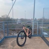 Scamb con c100 o stb o plaga