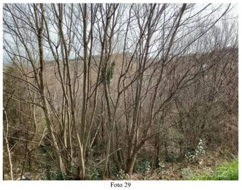 Appartamento – Villa Celiera, Santa Maria - Altro