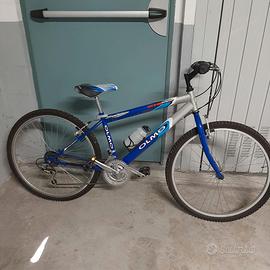bicicletta olmo 
