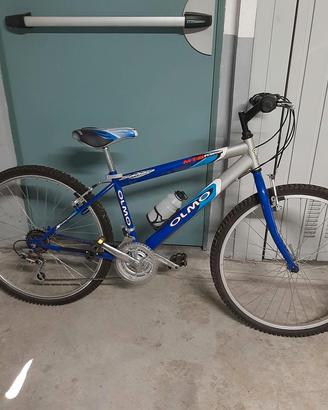 bicicletta olmo 