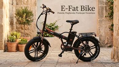 fat bike