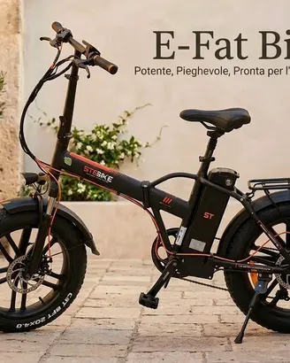 fat bike