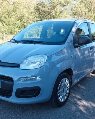 Fiat Panda 1.0 FireFly Hybrid*SOLO 59.000KM*UNIPRO