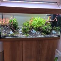 Acquario Juwel 180 l Rio