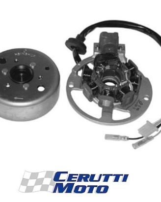 Statore Volano minarelli orizzontale 50 / 100 cc