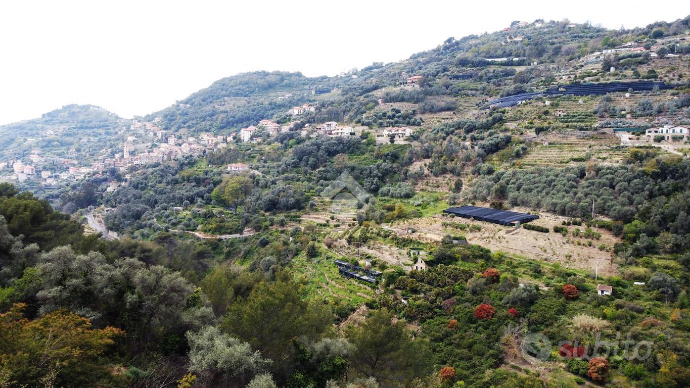 RUSTICO A VALLEBONA - Vista 5