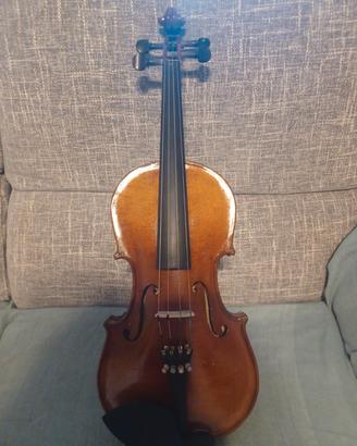 violino 
