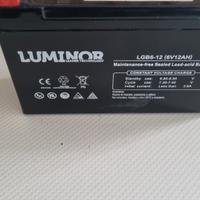 batteria + carica batteria 