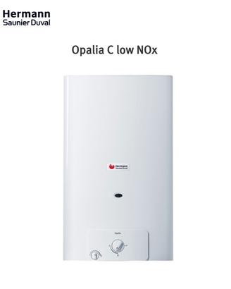 Scaldabagno a gas
