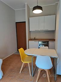 Bilocale ristrutturato ed arredato