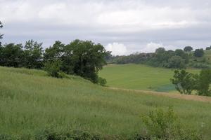 Seminativo a Lugnano in Teverina