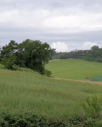 Seminativo a Lugnano in Teverina