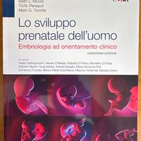 Lo sviluppo prenatale dell’uomo