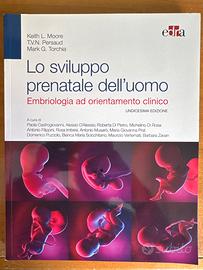 Lo sviluppo prenatale dell’uomo