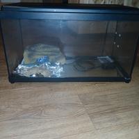 acquario con accessori