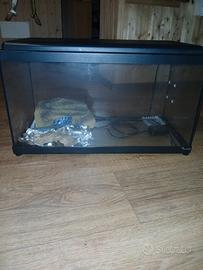 acquario con accessori