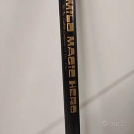 canna bolognese milo 6mt